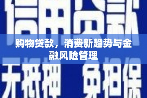 国姓购物贷款，消费新趋势与金融风险管理