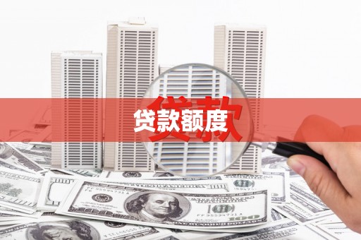国姓贷款额度