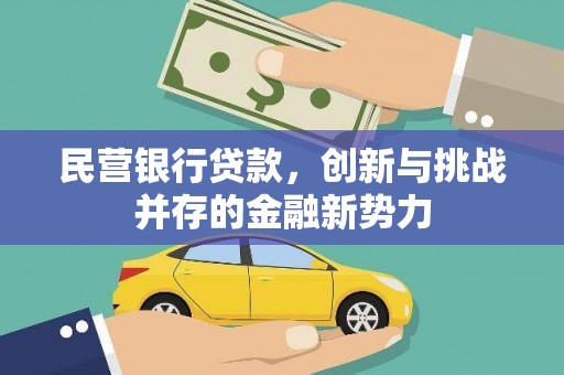 国姓民营银行贷款，创新与挑战并存的金融新势力