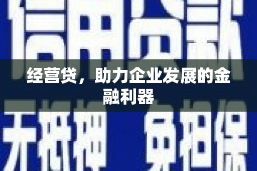国姓经营贷，助力企业发展的金融利器