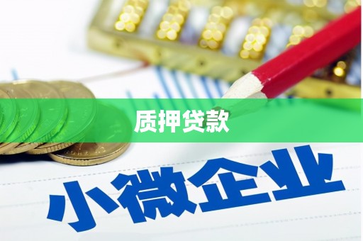 国姓质押贷款