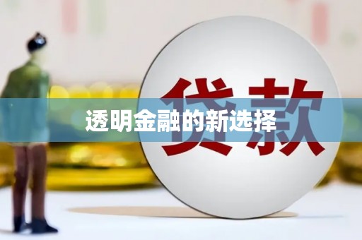 国姓透明金融的新选择