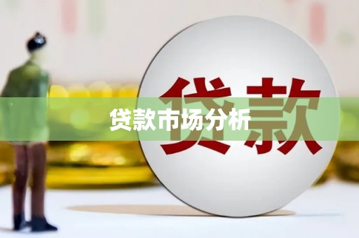 国姓贷款市场分析