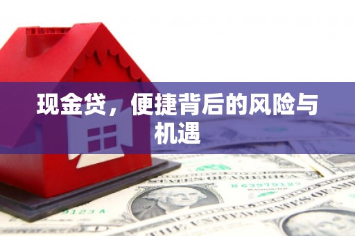 国姓现金贷，便捷背后的风险与机遇