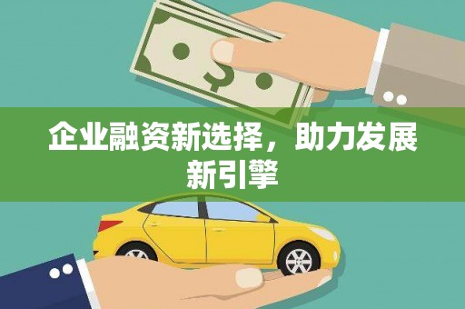 国姓企业融资新选择，助力发展新引擎
