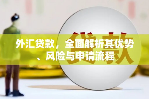 国姓外汇贷款，全面解析其优势、风险与申请流程
