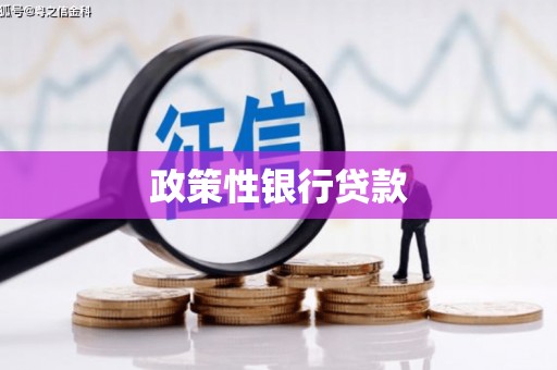 国姓政策性银行贷款
