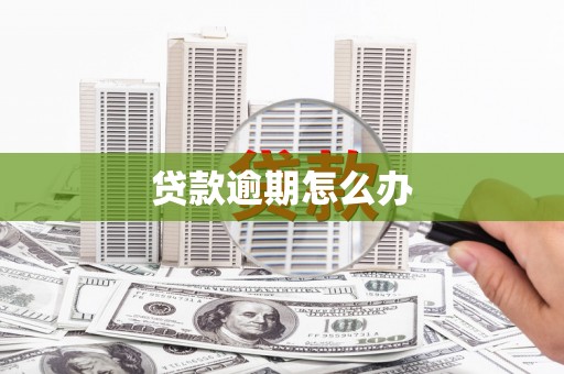 国姓贷款逾期怎么办