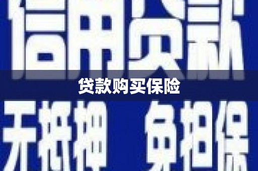 国姓贷款购买保险