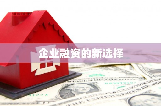 国姓企业融资的新选择