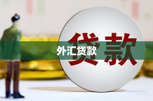 国姓外汇贷款