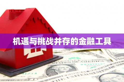 国姓机遇与挑战并存的金融工具