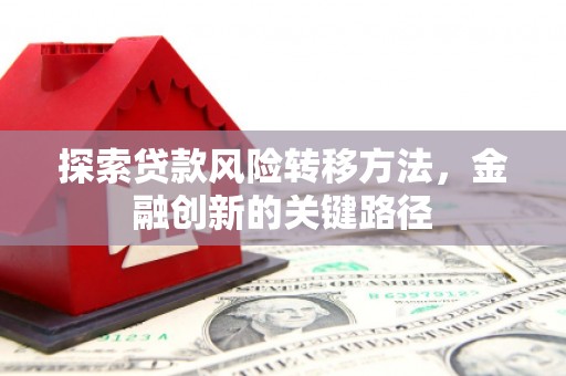 国姓探索贷款风险转移方法，金融创新的关键路径