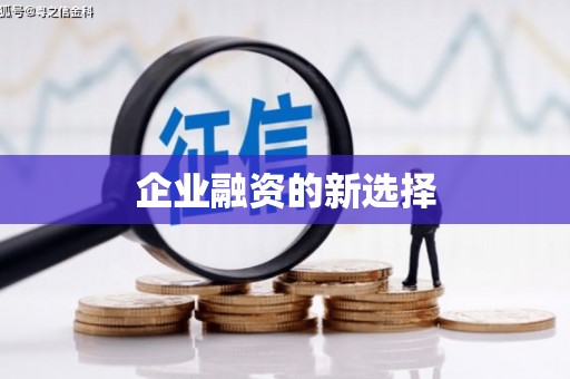 国姓企业融资的新选择