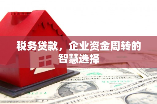 国姓税务贷款，企业资金周转的智慧选择