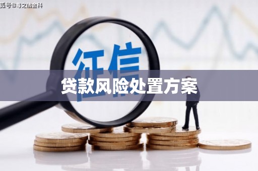 国姓贷款风险处置方案