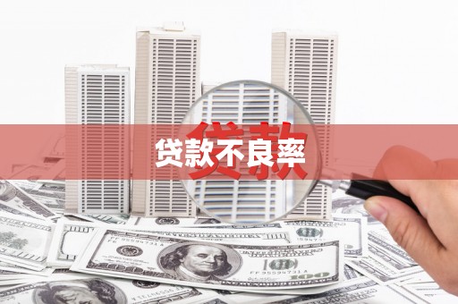 国姓贷款不良率