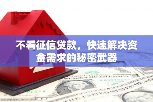 国姓不看征信贷款，快速解决资金需求的秘密武器