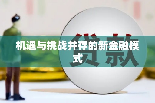 国姓机遇与挑战并存的新金融模式