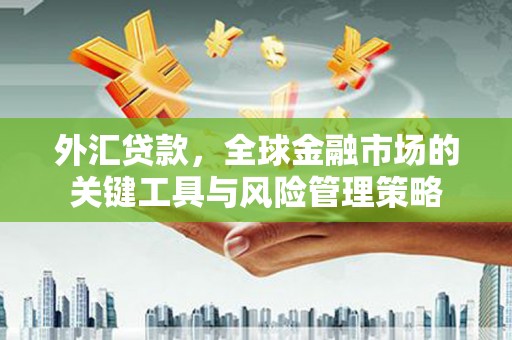 国姓外汇贷款，全球金融市场的关键工具与风险管理策略