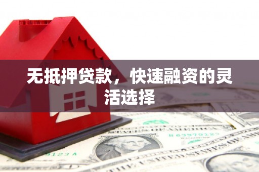 国姓无抵押贷款，快速融资的灵活选择