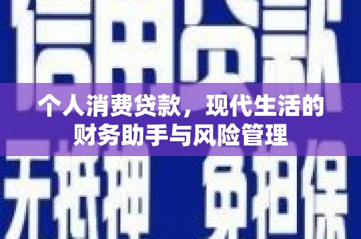 国姓个人消费贷款，现代生活的财务助手与风险管理