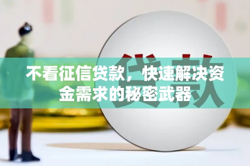 国姓不看征信贷款，快速解决资金需求的秘密武器