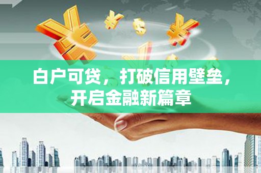 国姓白户可贷，打破信用壁垒，开启金融新篇章