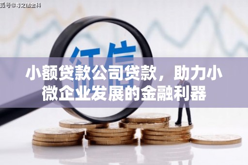 国姓小额贷款公司贷款，助力小微企业发展的金融利器