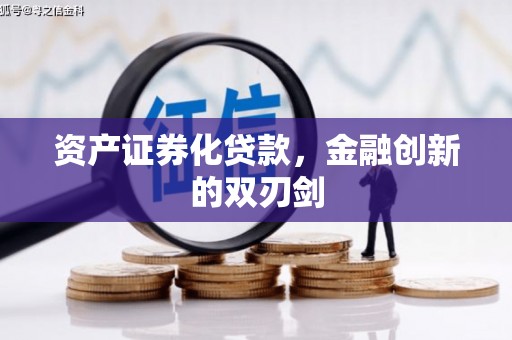 国姓资产证券化贷款，金融创新的双刃剑