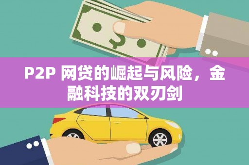 国姓P2P 网贷的崛起与风险，金融科技的双刃剑