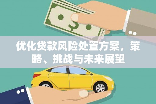 国姓优化贷款风险处置方案，策略、挑战与未来展望
