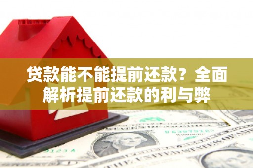 国姓贷款能不能提前还款？全面解析提前还款的利与弊