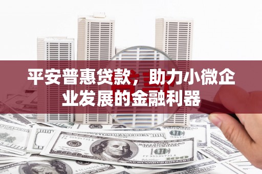 国姓平安普惠贷款，助力小微企业发展的金融利器