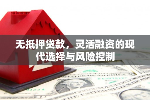 国姓无抵押贷款，灵活融资的现代选择与风险控制