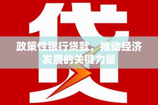 国姓政策性银行贷款，推动经济发展的关键力量