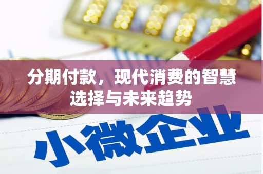 国姓分期付款，现代消费的智慧选择与未来趋势