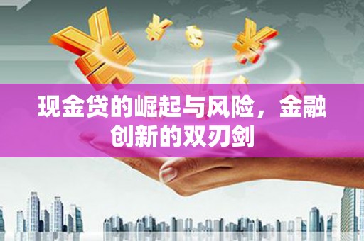 国姓现金贷的崛起与风险，金融创新的双刃剑
