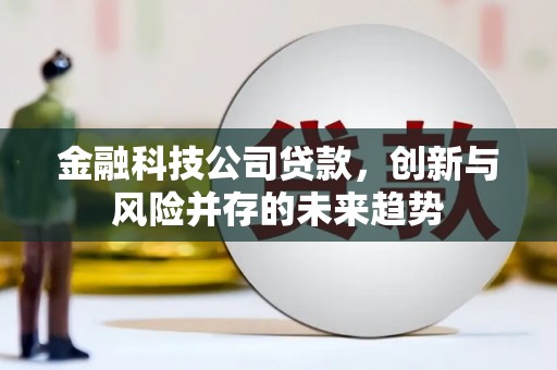 国姓金融科技公司贷款，创新与风险并存的未来趋势