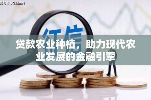 国姓贷款农业种植，助力现代农业发展的金融引擎