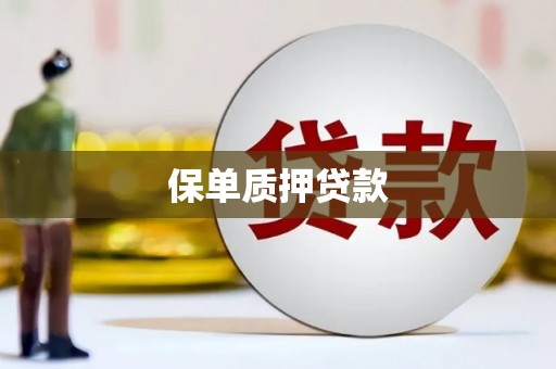 国姓保单质押贷款