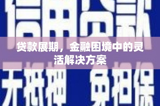 国姓贷款展期，金融困境中的灵活解决方案