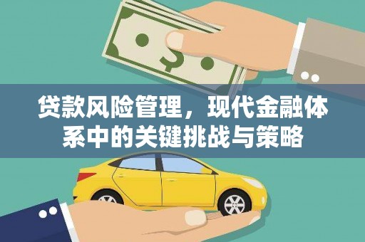 国姓贷款风险管理，现代金融体系中的关键挑战与策略