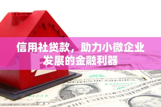 国姓信用社贷款，助力小微企业发展的金融利器