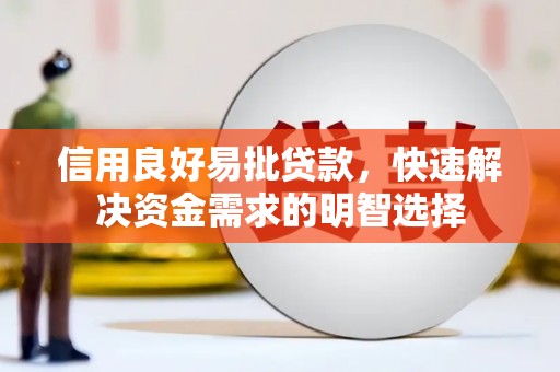 国姓信用良好易批贷款，快速解决资金需求的明智选择