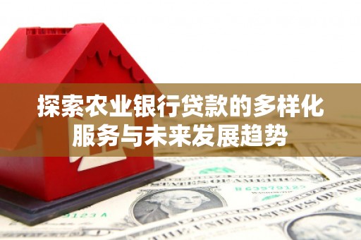 国姓探索农业银行贷款的多样化服务与未来发展趋势