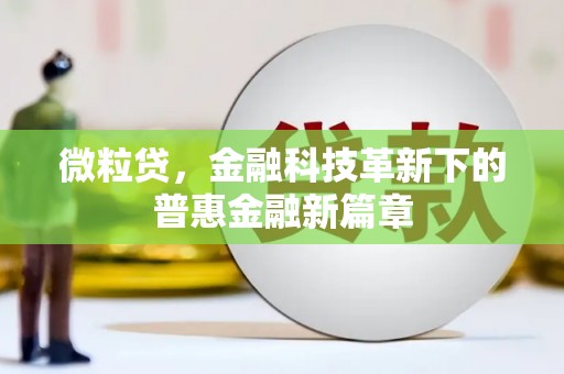 国姓微粒贷，金融科技革新下的普惠金融新篇章