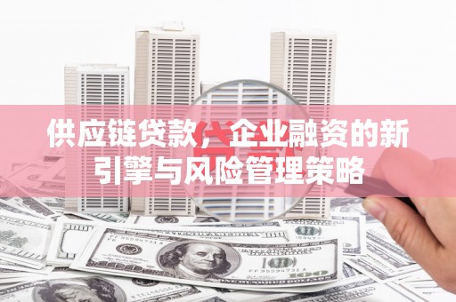 国姓供应链贷款，企业融资的新引擎与风险管理策略