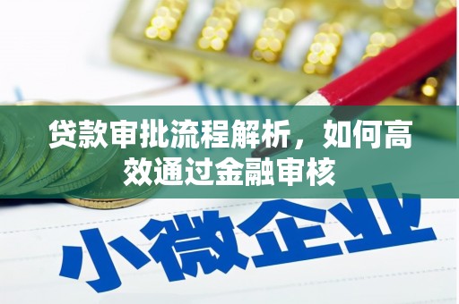 国姓贷款审批流程解析，如何高效通过金融审核