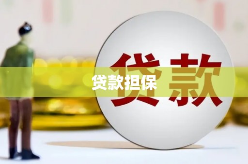 国姓贷款担保